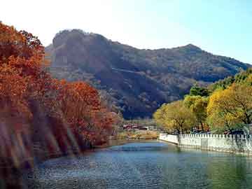 新澳天天开奖资料大全旅游团，磁浮球液位计